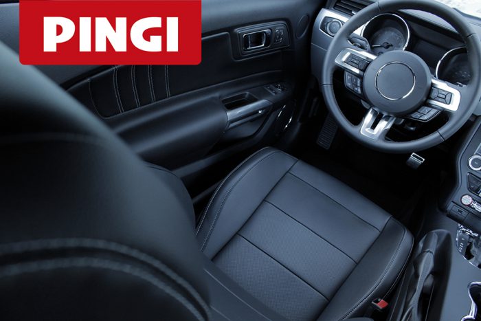 PINGI LEGENDS INTERIOR SPRAY