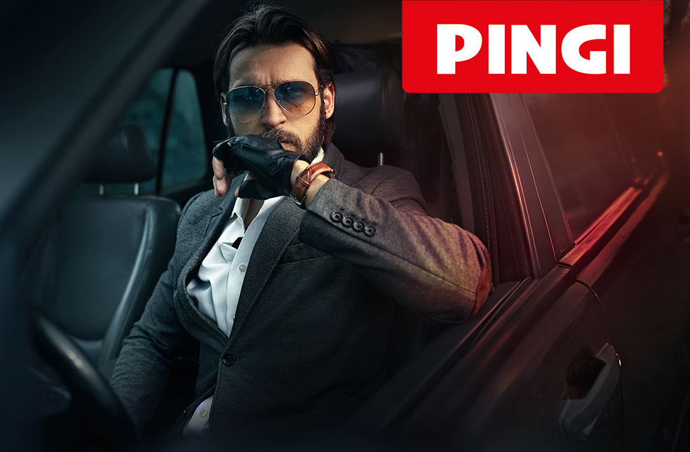 PINGI Auto-Entfeuchter - Car Care King